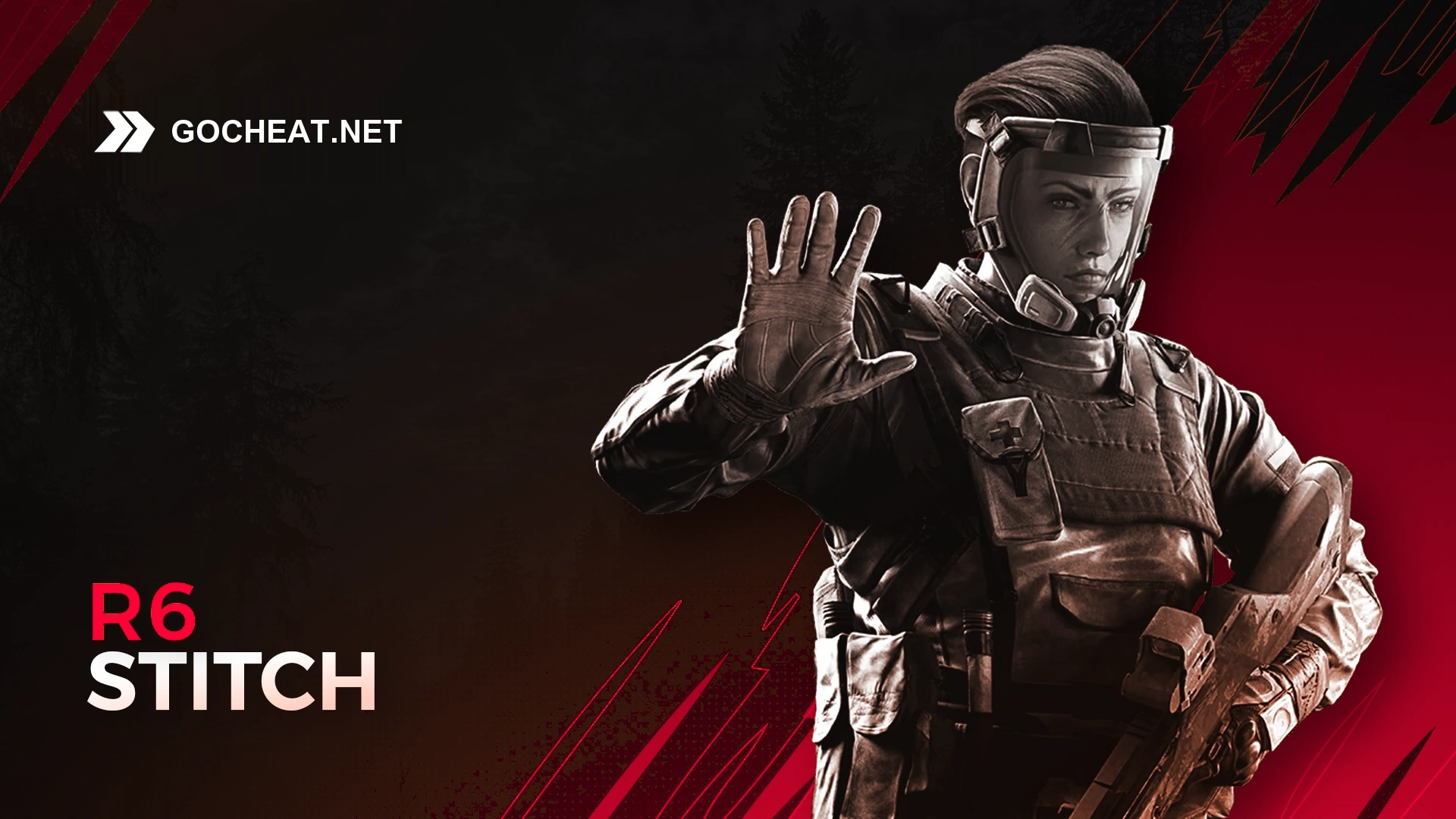 R6 - Stitch 